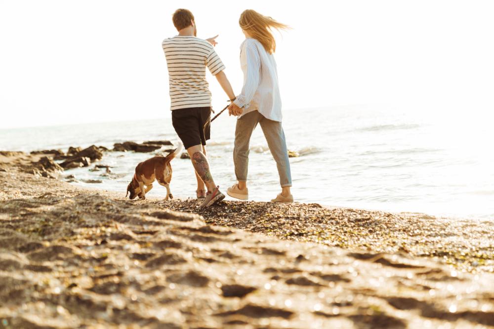 beach couple and dog