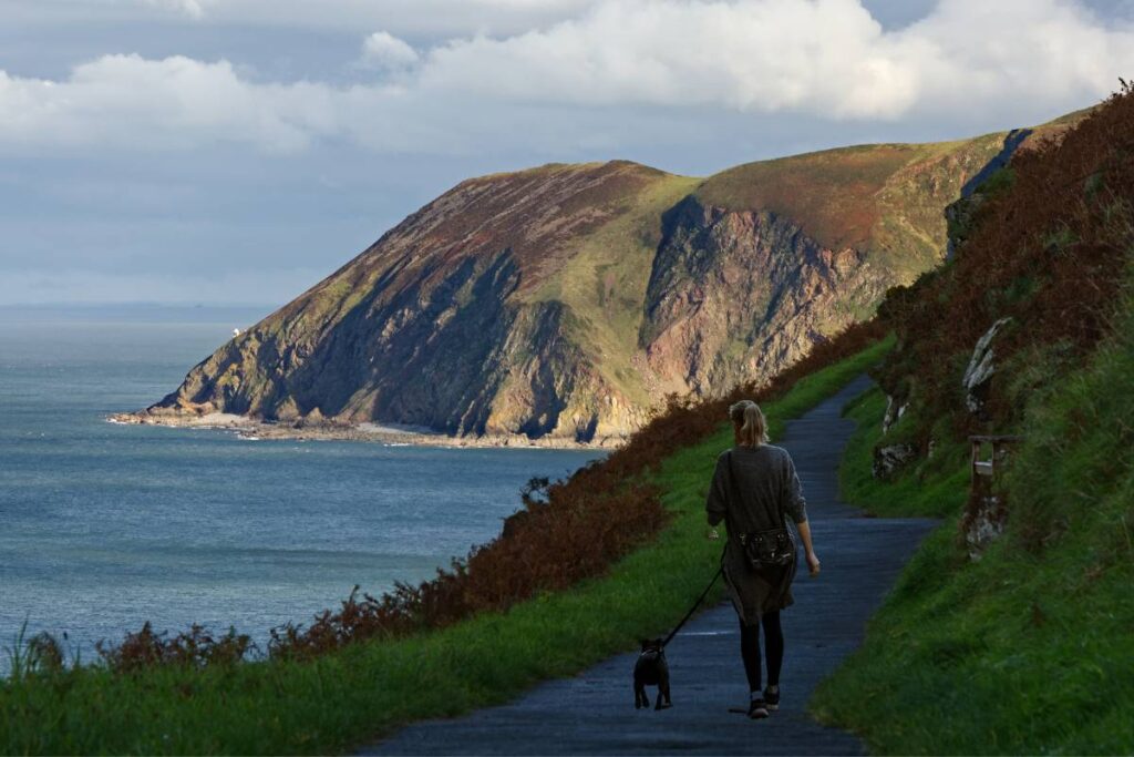 Dog walking at in Exmoor in the Autumn