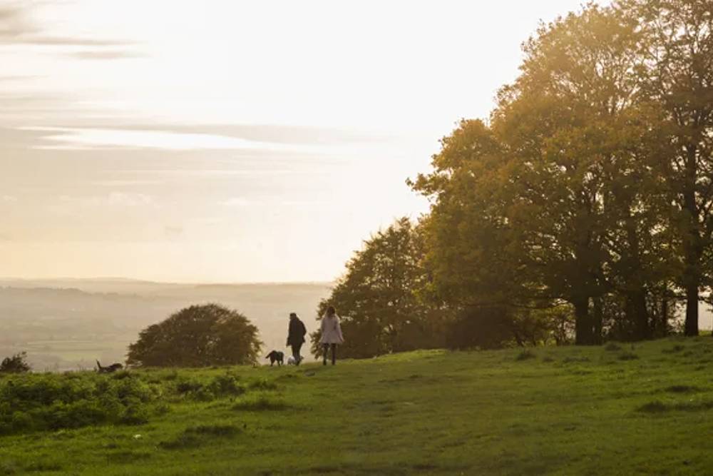 Haresfield Beacon Gloucestershire National Trust Images Chris Lacey