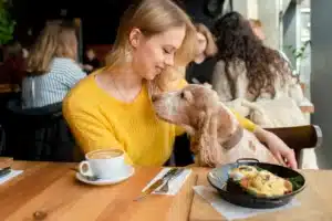 Read more about the article Treat Yourself at These Dog Friendly Restaurants in Anglesey