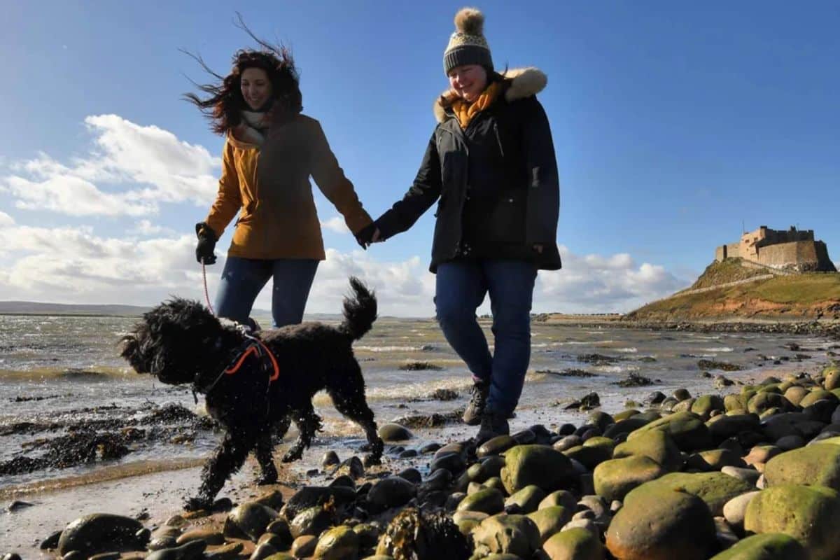 Read more about the article Bamburgh Dog Friendly Holiday Guide: Castle and Coastline Adventures