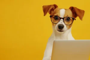 Read more about the article Is Your Dog Secretly a Genius? UK’s Smartest Breeds Revealed (The Results Will Surprise You!)