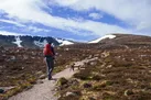Find Cairngorms Dog friendly cottages