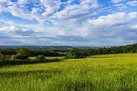 Find High Weald Dog friendly cottages