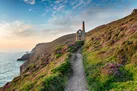 Find South West England Dog friendly cottages