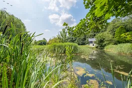 Belchamp Hall Mill, Belchamp Water: A stay by the tranquil old Mill pond
