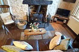 Lounge area with log burner, fireplace, sofa, armchair, coffee table